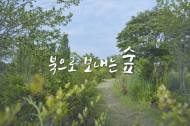 통일부, 환경 복원 위해 ‘북으로 보내는 숲’ 조성