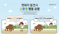 국립공원관리공단, '멧돼지 위험' 불법 야간산행 자제 당부