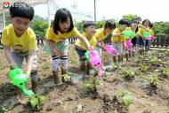 새로운 소통 공간 '서울시 친환경 주말농장'