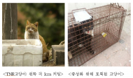 길냥이 중성화 사업 적극 추진..동물과 사람 공존하는 환경 조성