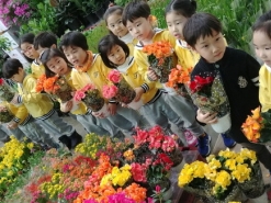 봄 향기 가득한 농협하나로마트 양재동 봄꽃 축제 중