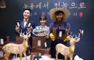 “정관장 천녹”으로 몸의 활력