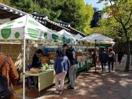 市, 제철 재료로 만든 친환경 먹거리 가득 ‘농부의 시장’ 개최