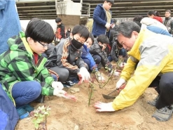 장미그린도시 중랑, 식목일에 친환경 장미 심기행사