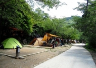 내달 지리산 등 전국 10곳 국립공원 야영장 무료