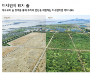 양재동 여의천에 시민 건강 위한 '미세먼지 방지 숲' 조성