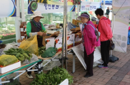 평창 ,친환경 산나물 장터 축제