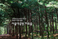 맑은 자연환경 만끽할 수 있는 서울대공원 '치유의 숲' 확대 조성