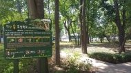 산림청, 전국 81개 학교에 명상숲 조성