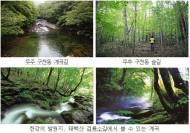 여름 휴가철 피서지로 좋은 국립공원 힐링로드 10선은?