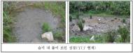 사자평 고산습지·누제치늪 복원 성공