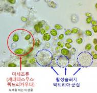 낙동강생물자원관, 철강폐수 함유 오염물질 제거 기술 개발