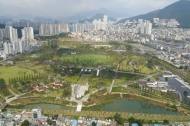 산림청 “전국의 우수 도시숲·가로수 찾아요”