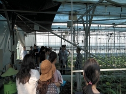 서울시 학교 영양교사 친환경 농산물 산지 체험