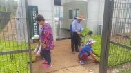 관악구, 리얼스마트팜에서 생산된 배추 모종 2만주 배부해