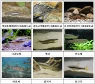 국립생태원, ‘금강 수생태 특별전시회’ 개최