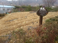 경기도, 친환경학교농장 조성사업 참여자 모집