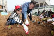 금천구, ‘ 주말농장 및 친환경 상자텃밭’ 분양