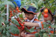 서울시 최대 규모 어린이 대상 ‘힐링체험농장’ 운영