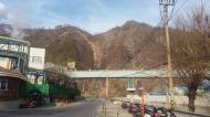 산림청, 석포 인근 산림피해지 복원 위한 정밀조사 착수