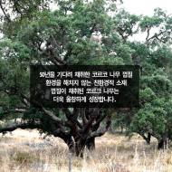 환경 지키며 나만의 개성도 표현하다, 엘앤제이 ‘코르코 장우산’