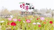 미세먼지 없는 제주허브동산, '양귀비 축제' 개최