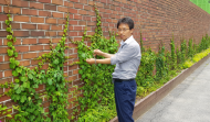 김광수 시의원, 서울시 벽면녹화에 환경사업하라