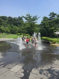 경기도, 도내 42곳 물놀이형 수경시설 관리실태 합동 점검
