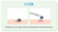 한강과 산책로 등 참진드기 조사 결과 바이러스 '불검출'