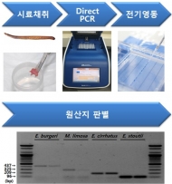 국립수산과학원, 먹장어 원산지 4시간 안에 판별 가능