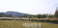 주말여행, 그린전북을 가다