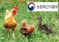 농식품부, 닭·오리·계란 등 가금 및 가금신물 이력제 도입
