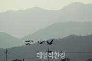 중부전선 철원 DMZ생태평화공원을 가다.