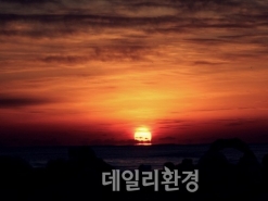 2019년 황금돼지해 첫 일출