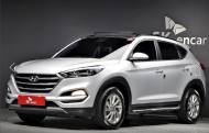 중고차 시장에서 인기 SUV 순위는?