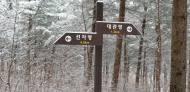 워크앤런, 친자연 캠페인 '대관령 살리기' 행사 주최