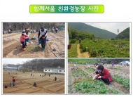 서울시, 건강한 먹거리 직접 키우는 친환경농장 분양