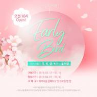 에어서울, 얼리버드 특가 오픈