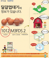 23일부터 '산란일자 표시제도' 시행...난각표시 맨 앞 4자리