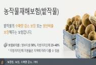 농업인 자연재해 걱정 덜어줄 '농작물재해보험' 판매