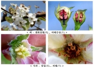 농식품부, 봄철 농작물 저온피해 예방에 총력