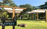 친환경 ‘소풍 결혼식’ 월드컵공원서 1호 커플 참여