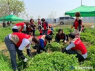 환실련-서울시, 한강공원 생태계 환경보호활동 활발