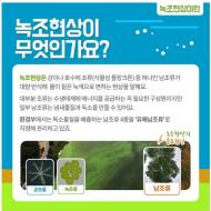 정부, 다각적 수단 활용 여름철 녹조발생 사전에 억제한다
