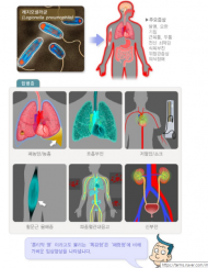 용산구, 레지오넬라증 예방·관리 추진