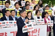 서울시의회 제289회 임시회, 「일본정부의 경제침략에 대한 규탄 결의안」 본회의 통과 및 규탄대회 개최