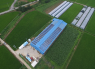 해줌, 전국에 300kW 축사 친환경발전소 준공