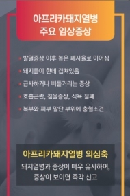 인천 강화 양돈농장 아프리카돼지열병 확진 판정