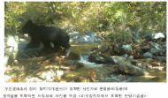 환경부, 비무장지대 생태이야기