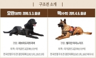 재난현장 누비던 인명구조견 임무 마치고 퇴역, 일반인에 분양